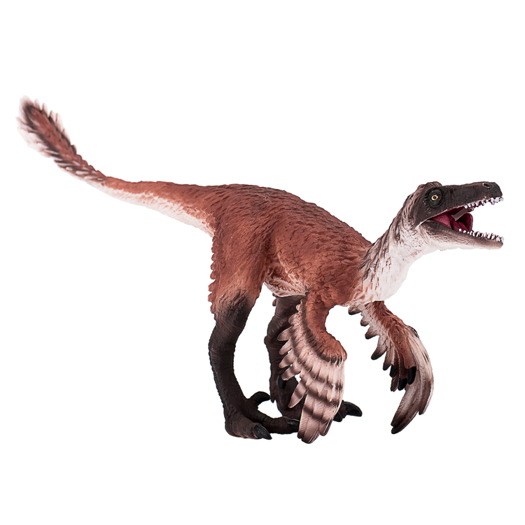 Troodon with Articulated Jaw