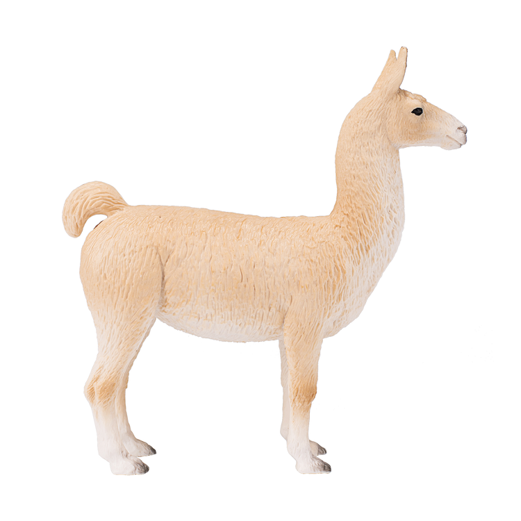 Llama