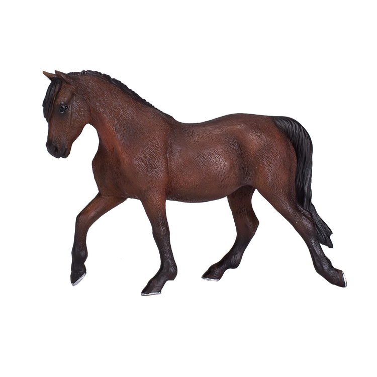 Morgan Stallion Bay