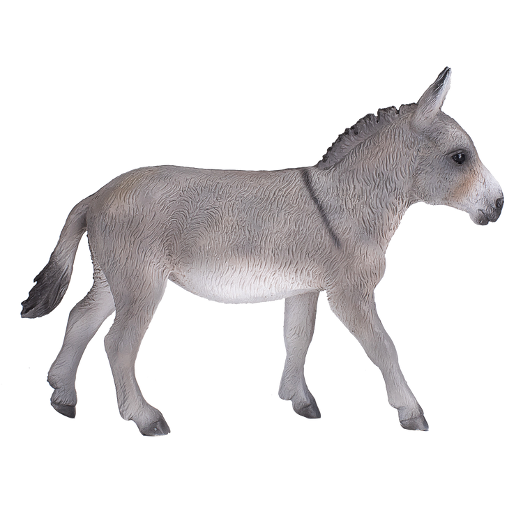 Donkey