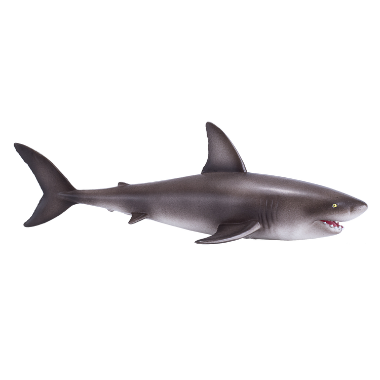 Great White Shark