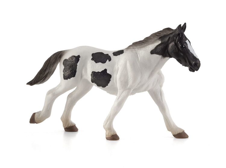 Tinker Yearling