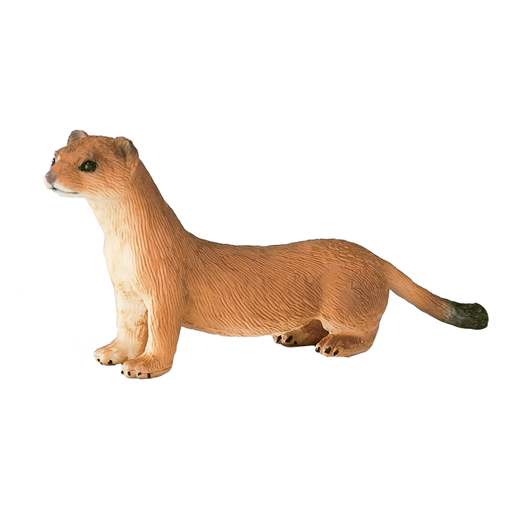 Stoat