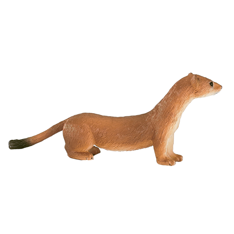 Stoat