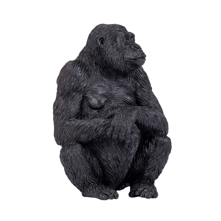 Gorilla Female