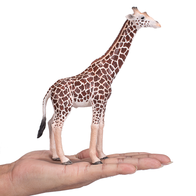 Giraffe Male