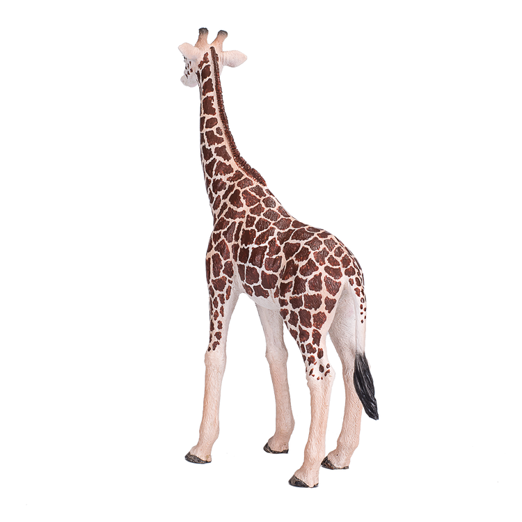 Giraffe Male