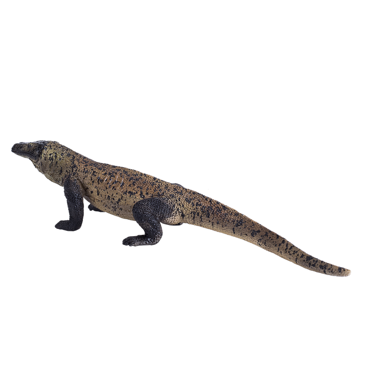 Komodo Dragon