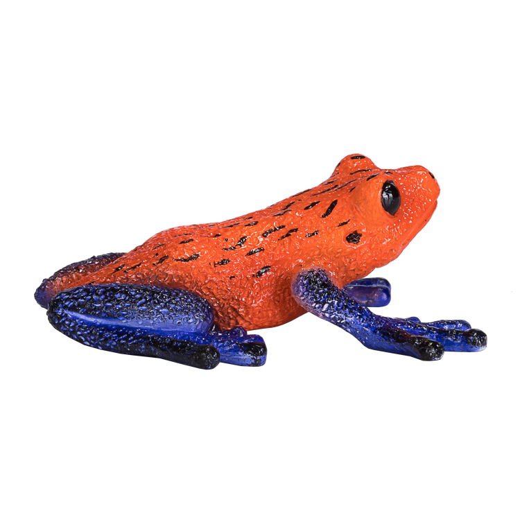 Poison Dart Tree Frog