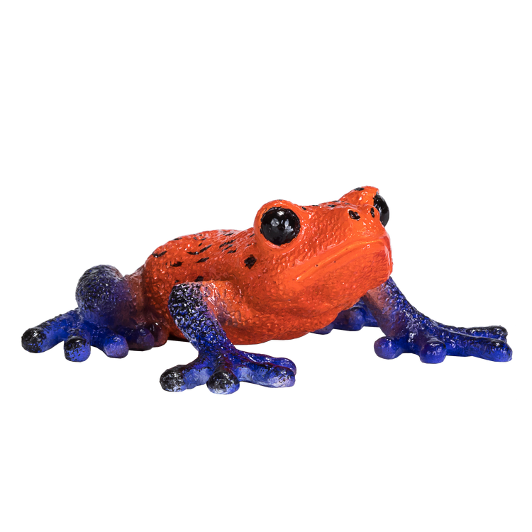 Poison Dart Tree Frog