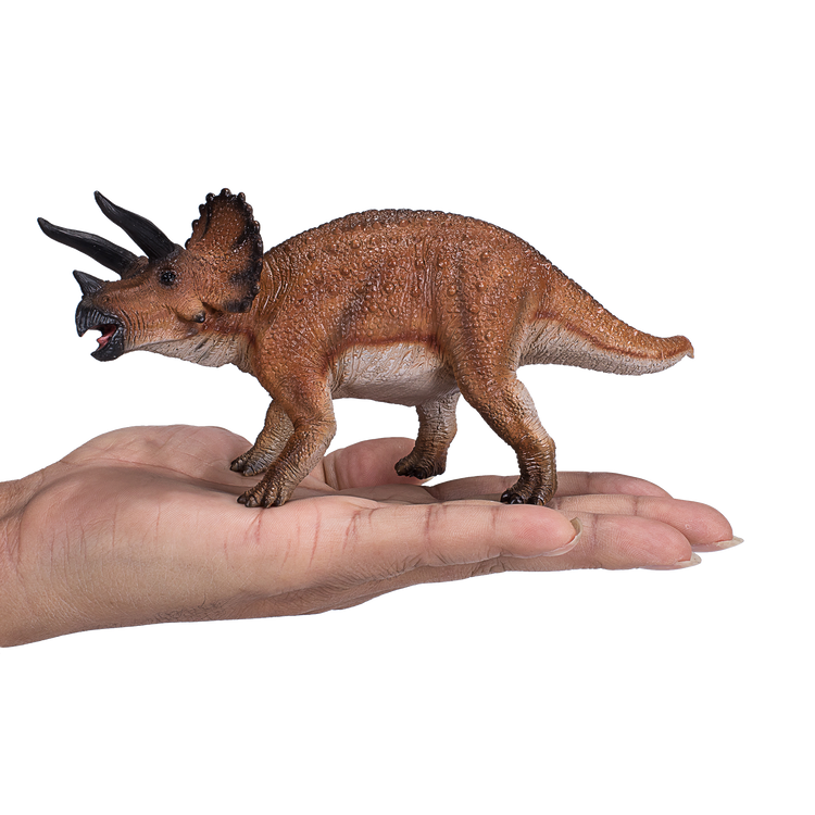 Triceratops