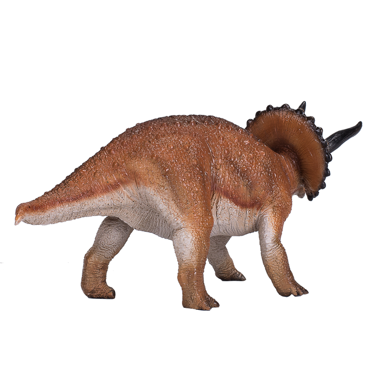 Triceratops