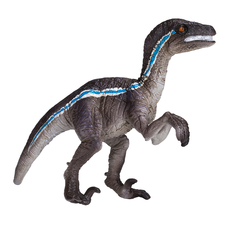 Velociraptor Standing