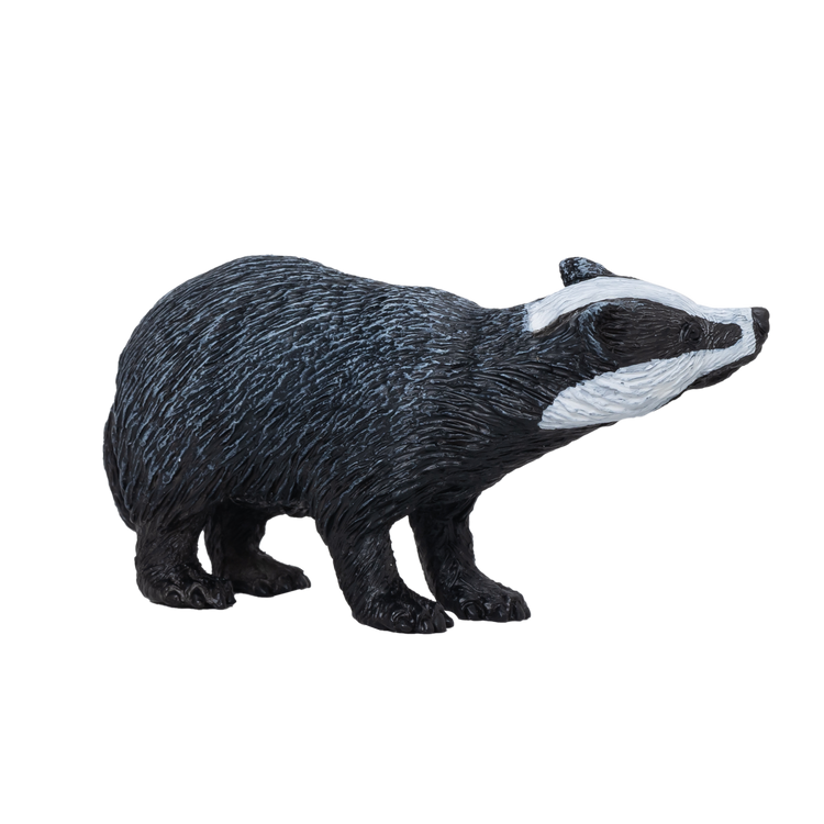 Badger