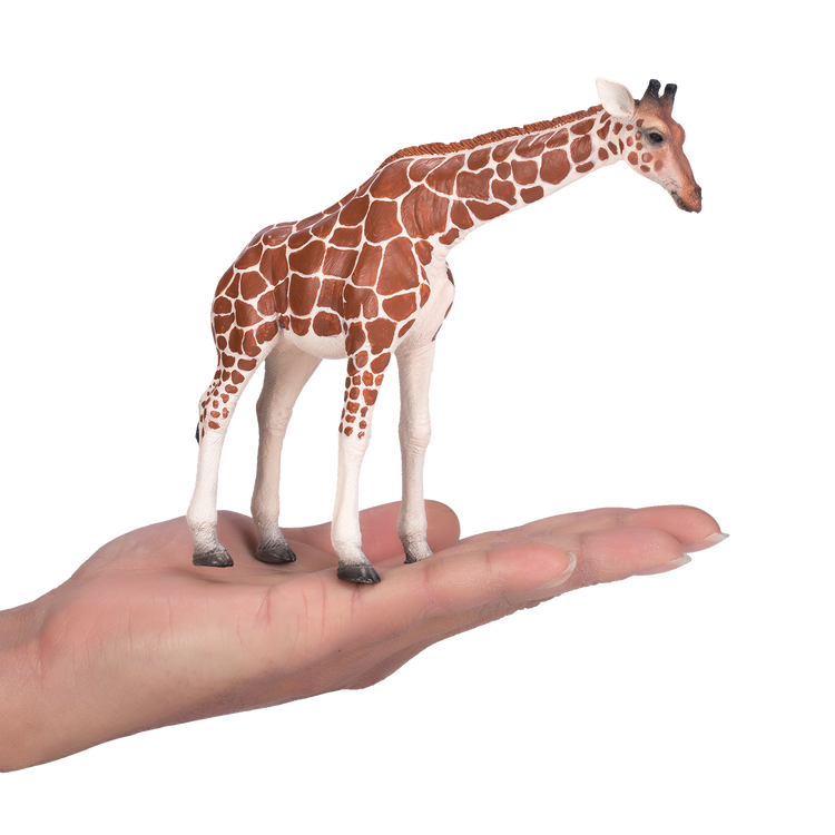 Giraffe Female