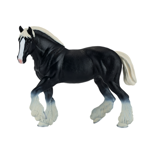 Cydesdale Horse Black