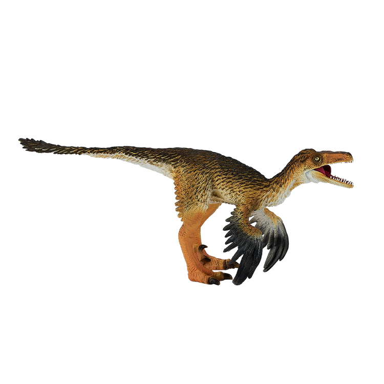 Troodon with Articulated Jaw