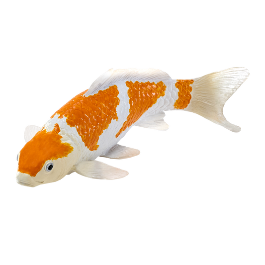 Koi Carp - Ochiba Shigure