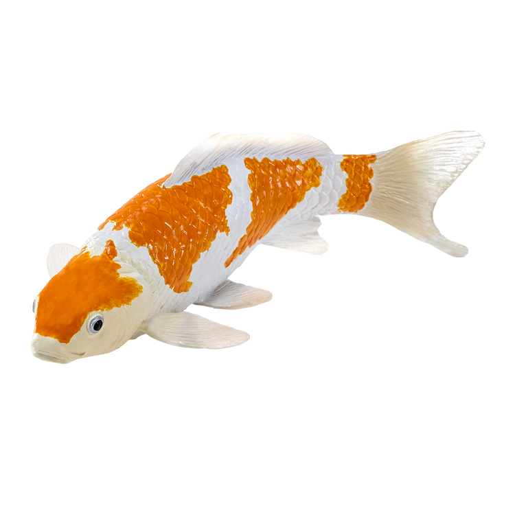 Koi Carp - Ochiba Shigure