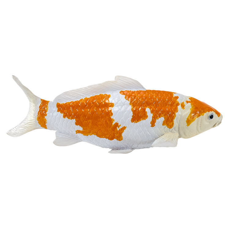 Koi Carp - Ochiba Shigure