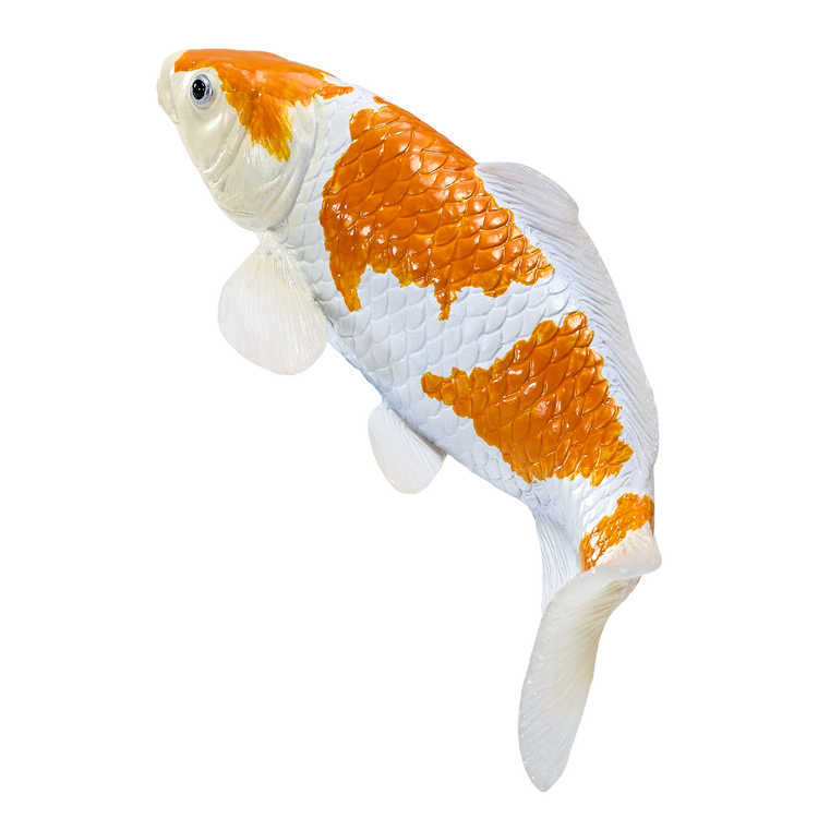 Koi Carp - Ochiba Shigure