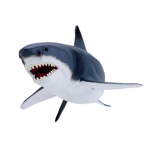 Great White Shark