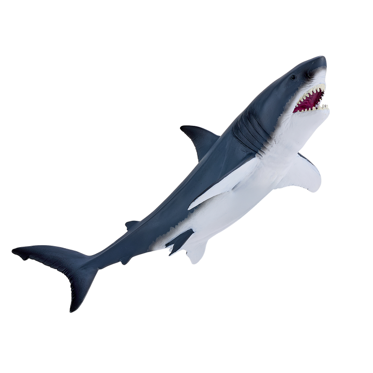 Great White Shark