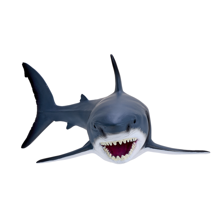 Great White Shark