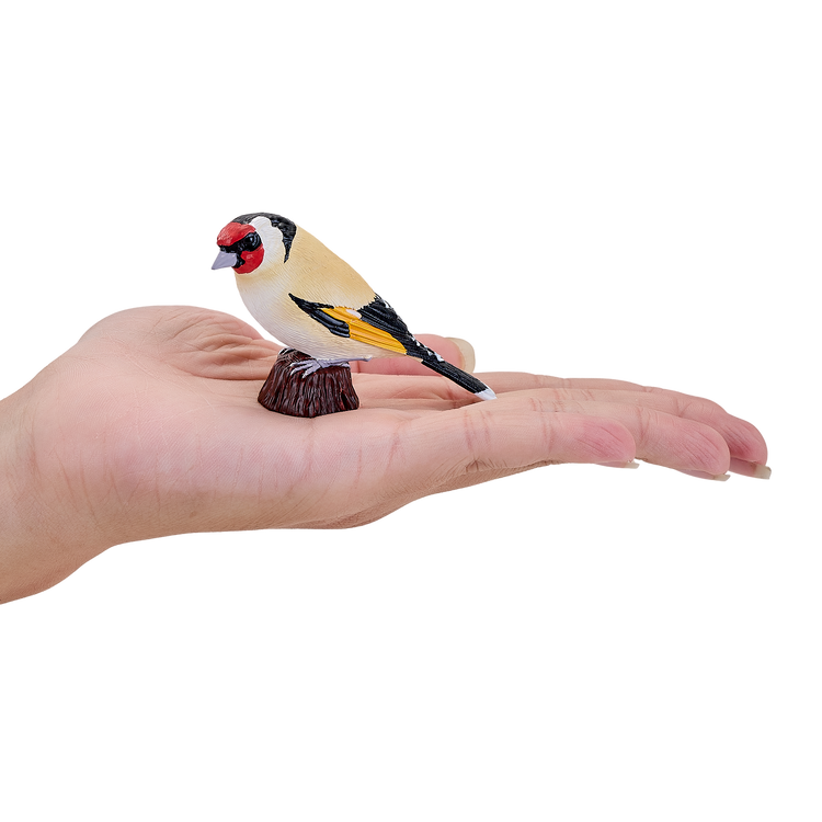 European Goldfinch