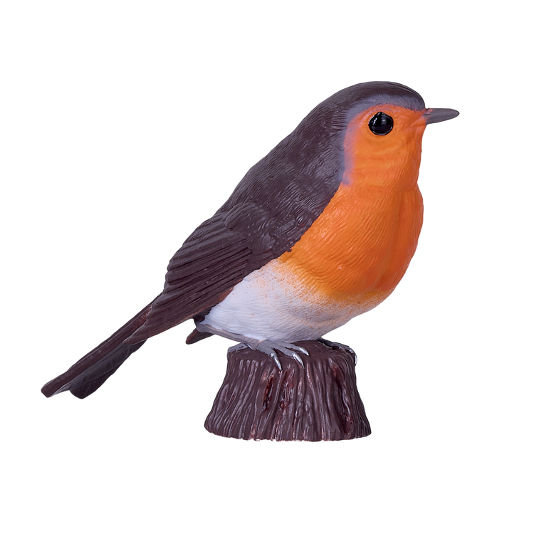 European Robin