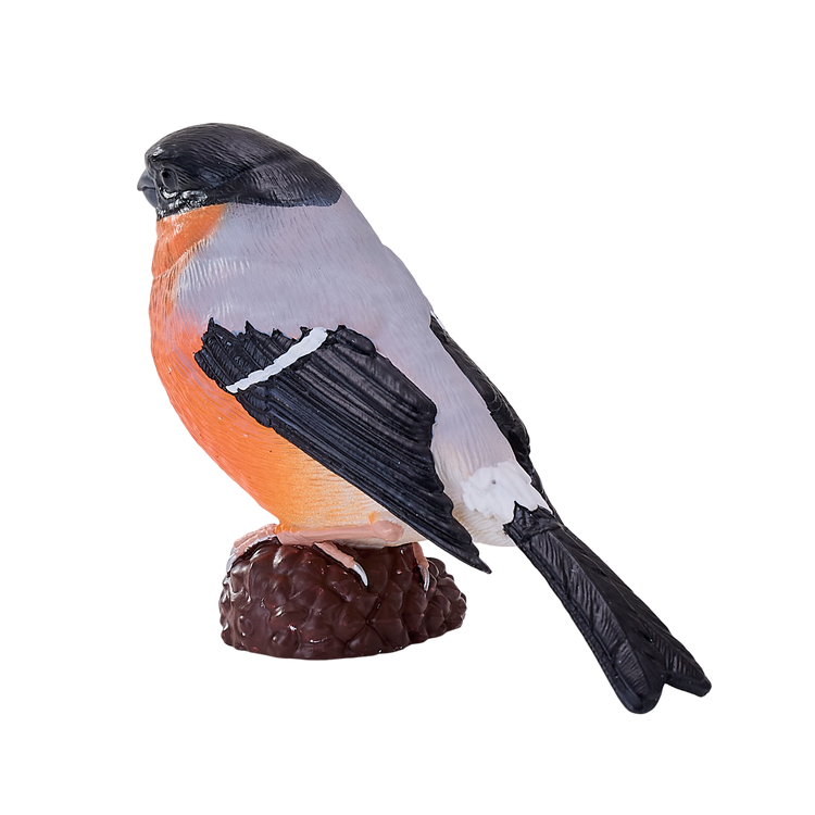 Bullfinch