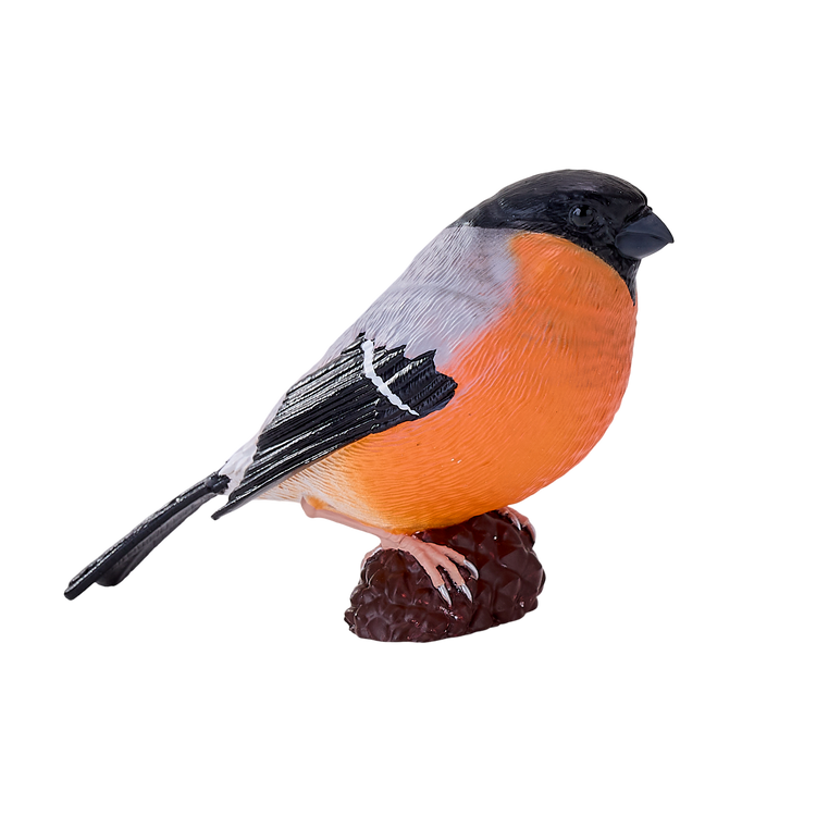 Bullfinch