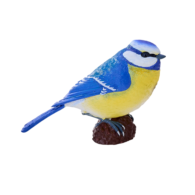 Blue Tit