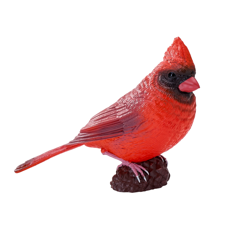 Red Cardinal