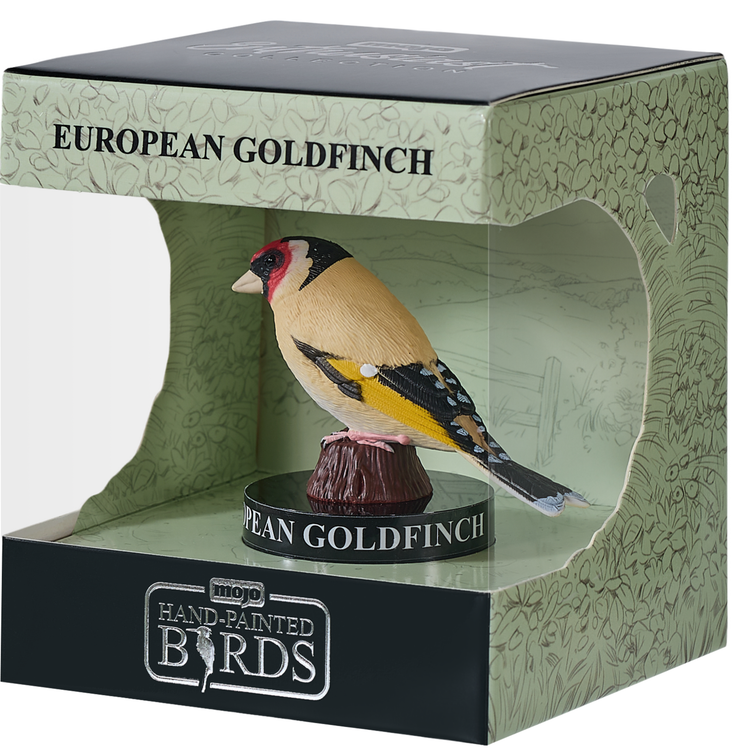 European Goldfinch