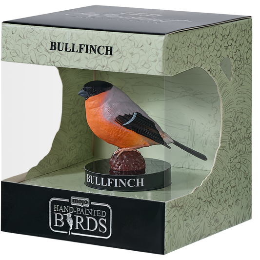 European Bullfinch