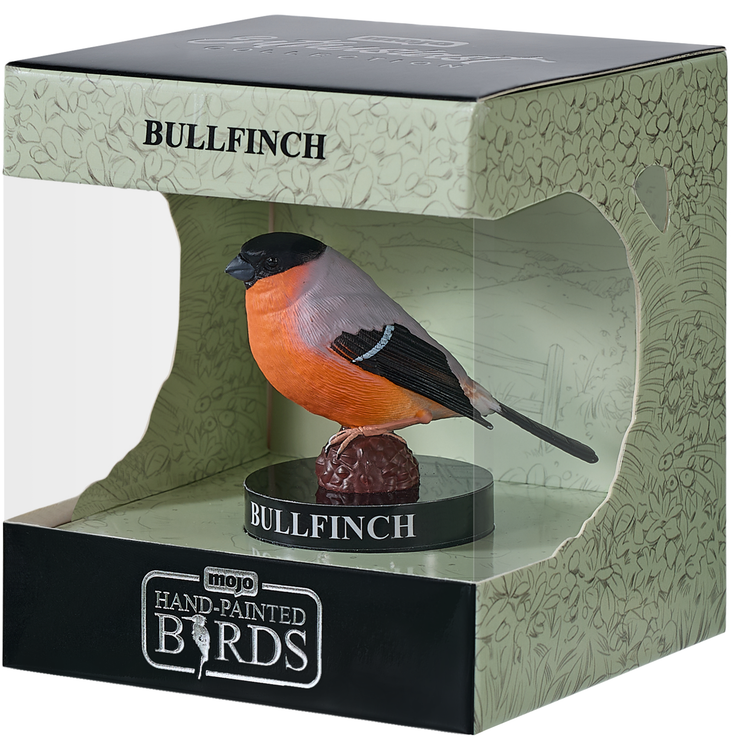 European Bullfinch