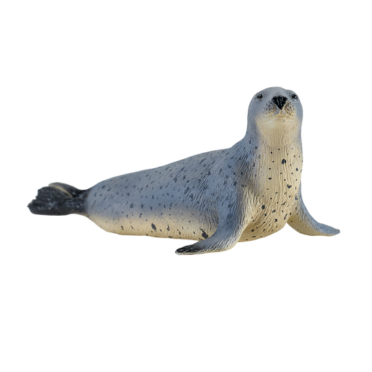 Grey Seal