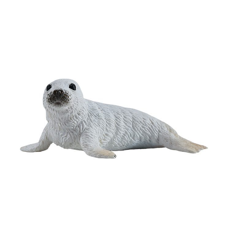 Grey Seal Pup