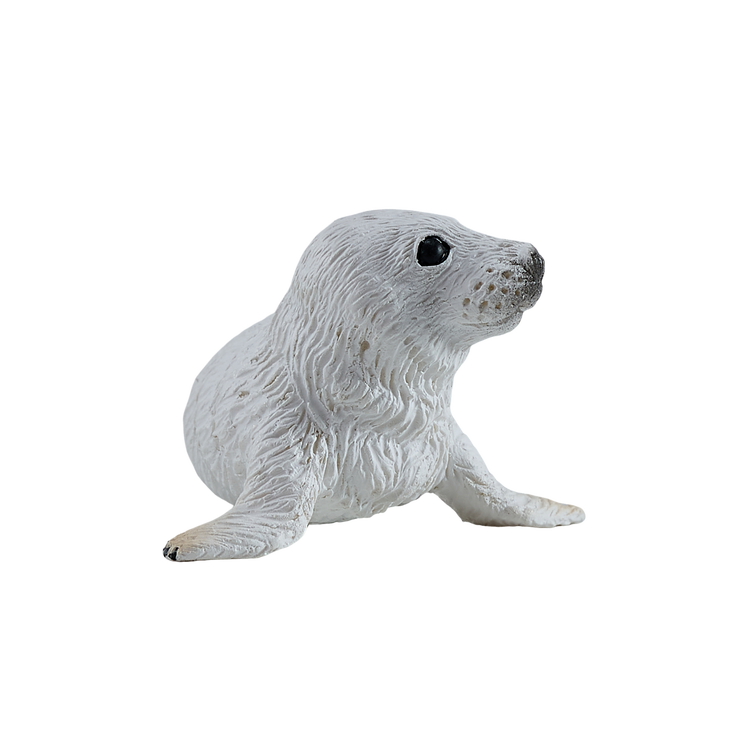 Grey Seal Pup