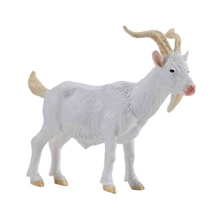Billy Goat