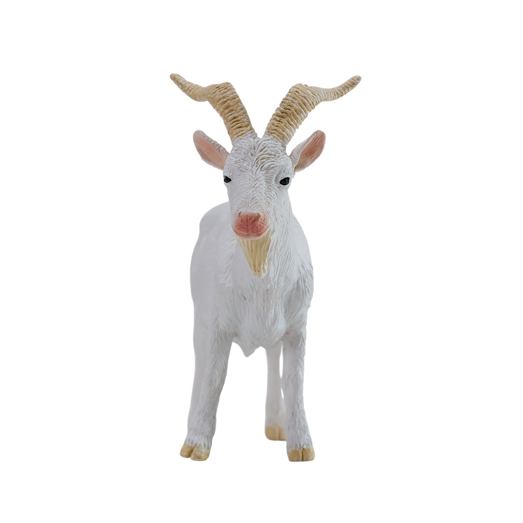 Billy Goat