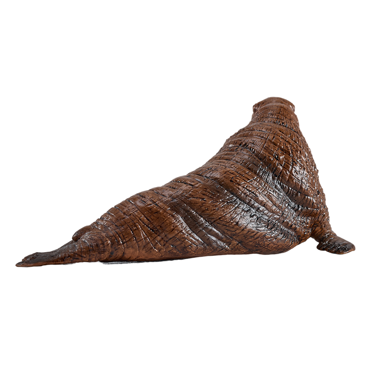 Walrus