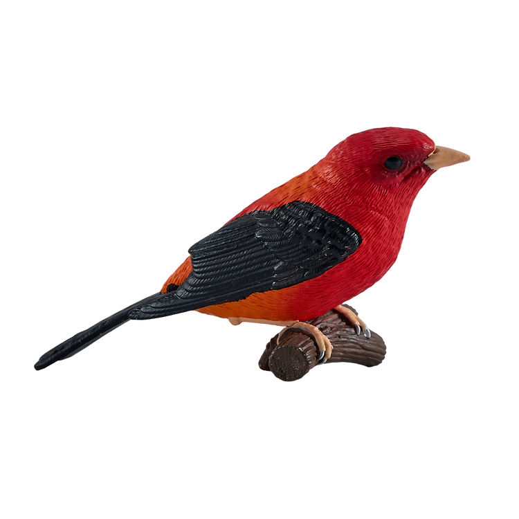 Scarlet Tanager