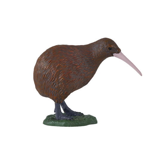 New Zealand Kiwi