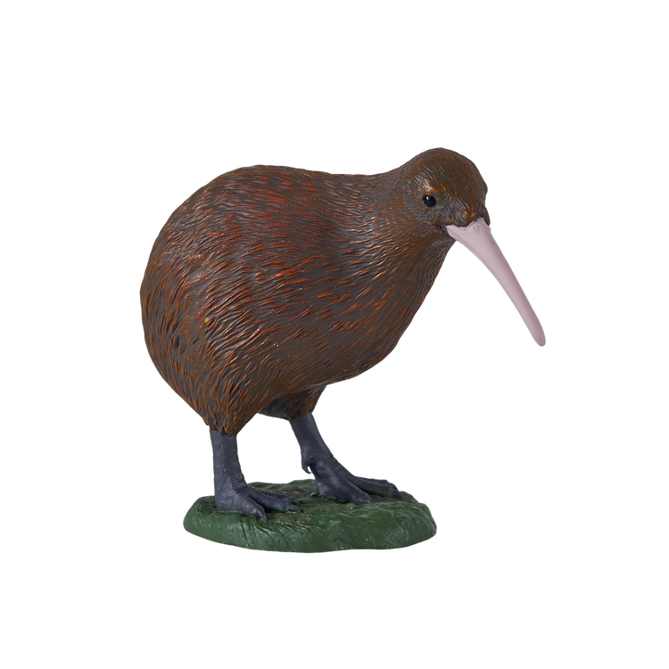 New Zealand Kiwi