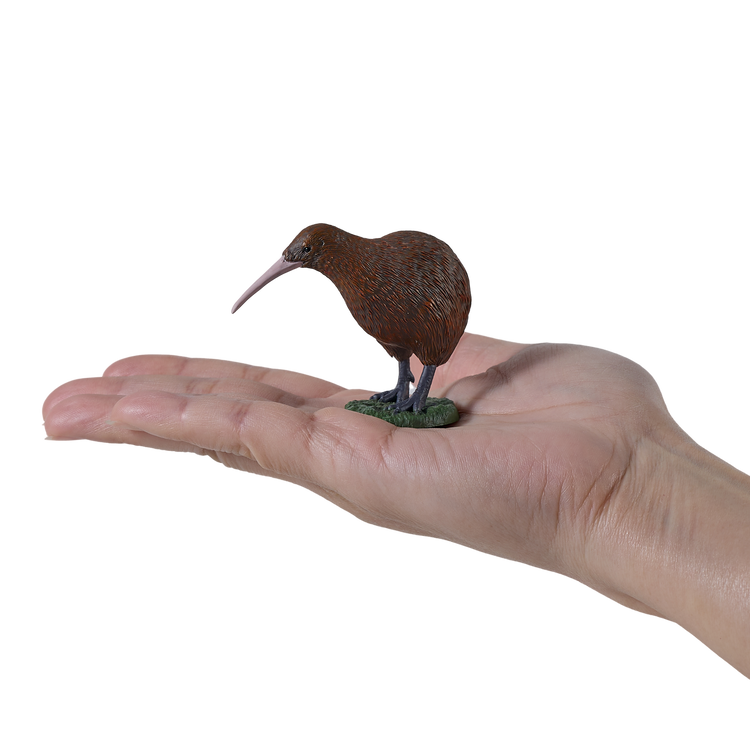 New Zealand Kiwi