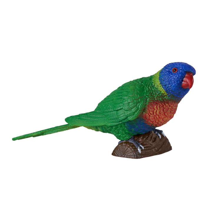 Rainbow Lorikeet