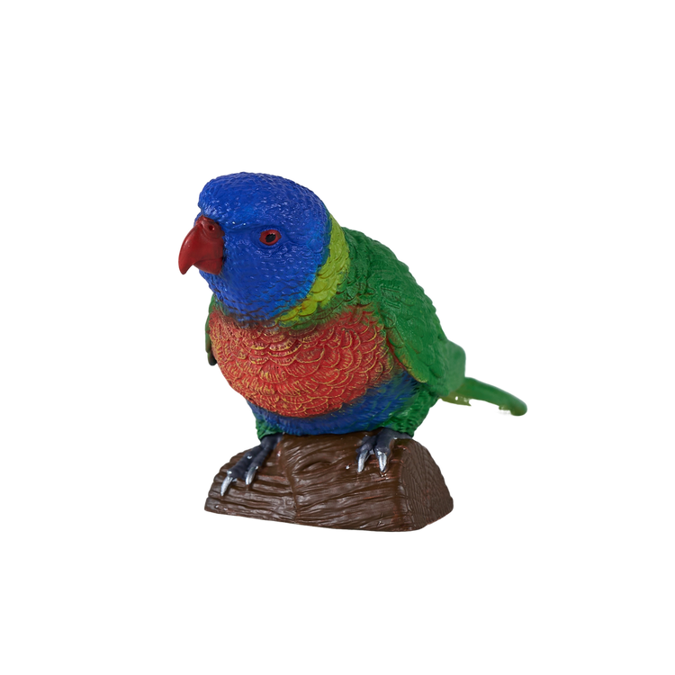 Rainbow Lorikeet