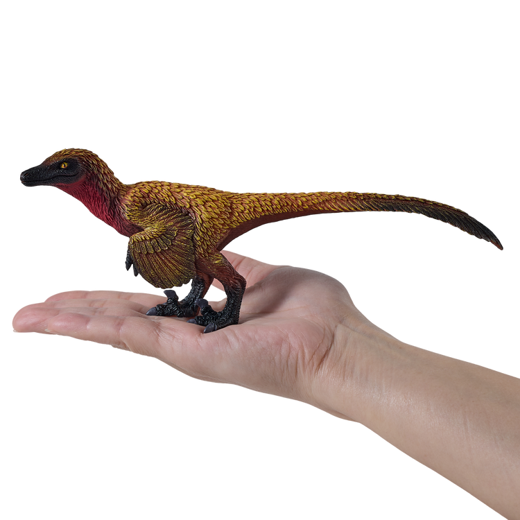 Velociraptor